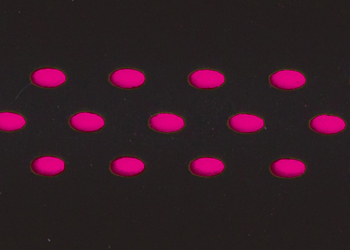 BRN Nastro Dots-fuxia fluo